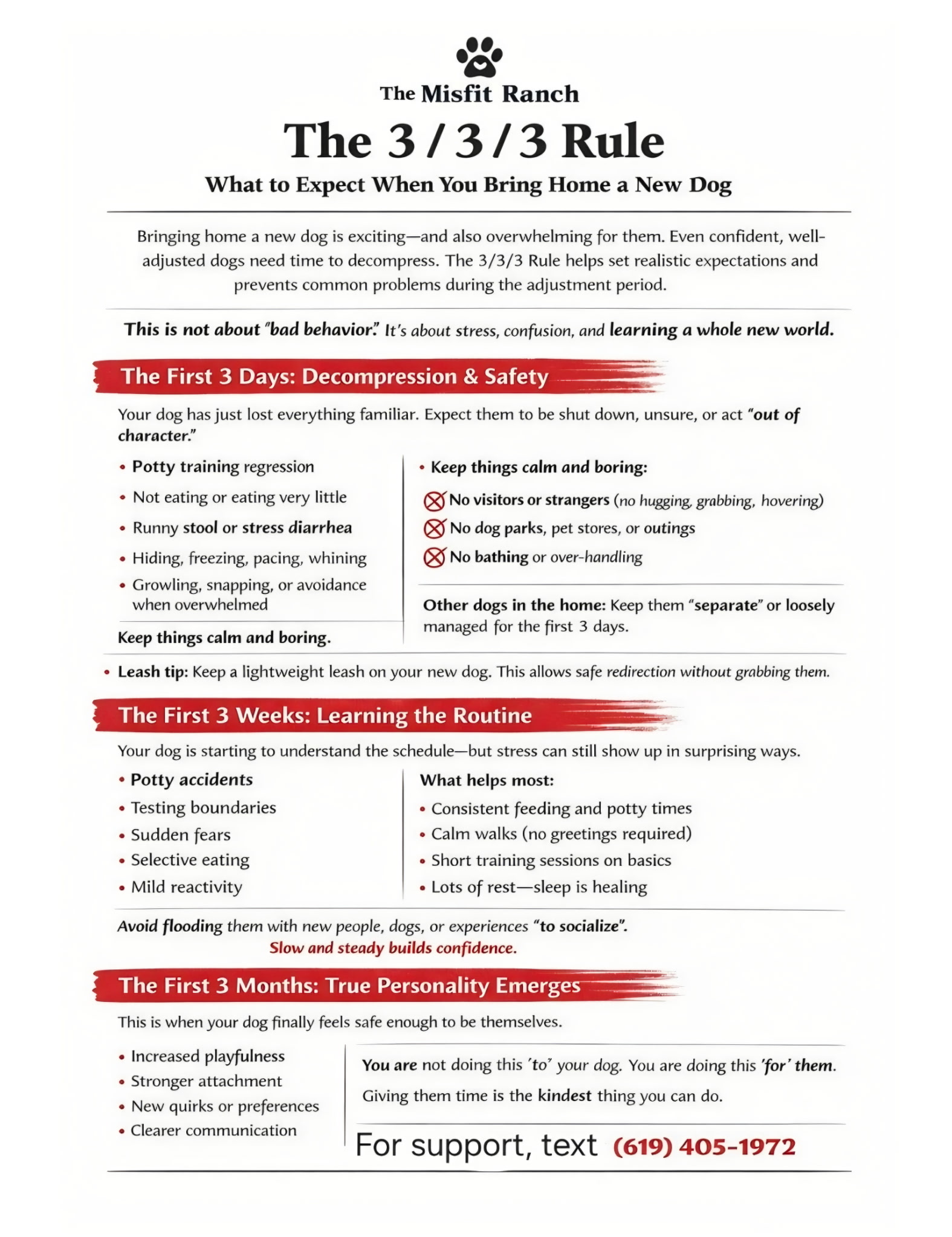 The Misfit Ranch 3-3-3 Rule: what to expect when you bring home a new dog