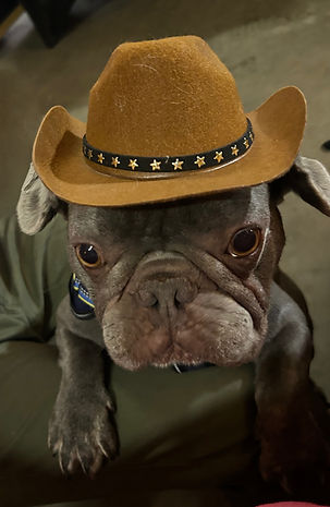 Adoptable dog at The Misfit Ranch