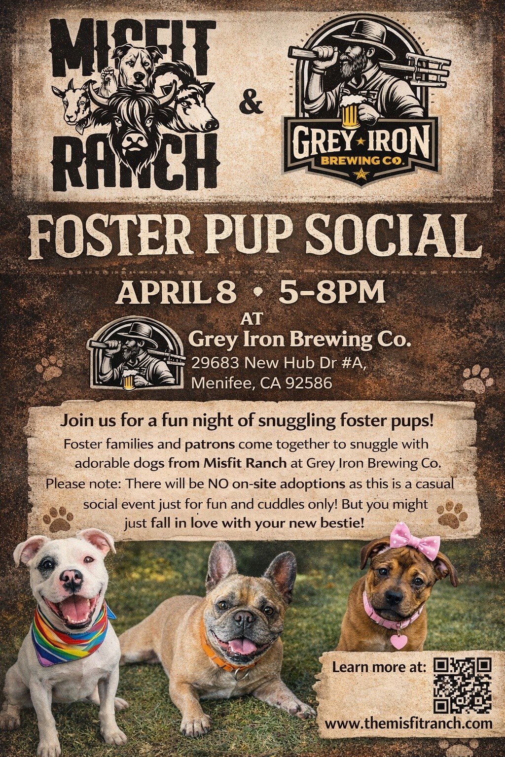 Foster Pup Social flyer